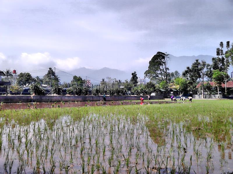 เอรี บิรู รีสอร์ต Hotel ซิซารัว ภายนอก รูปภาพ